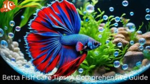 Betta Fish Care Tips: A Comprehensive Guide