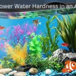 How to Lower Water Hardness in an Aquarium (1)