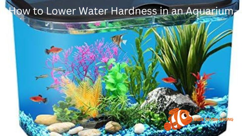 How to Lower Water Hardness in an Aquarium