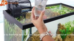 How to Remove Nitrite from Aquarium: A Comprehensive Guide