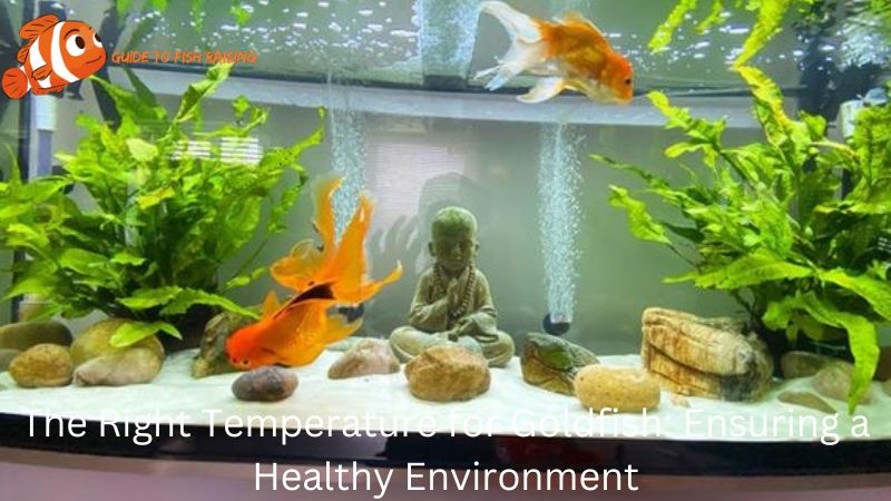 The Right Temperature for Goldfish: Ensuring a Healthy Environment