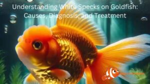 Understanding White Specks on Goldfish: Causes, Diagnosis, and Treatment