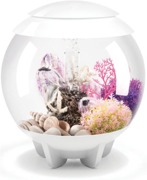 biOrb Halo 15 Acrylic 4-Gallon Aquarium with Remote